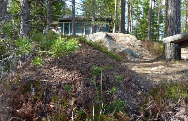 Salkolahti Tikkamaki - Foto 21