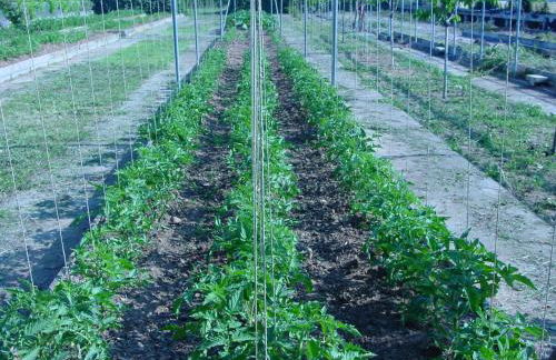 Fondo Brugarolo B&B - Foto 30