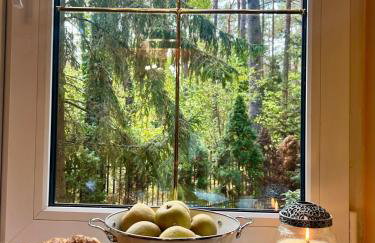 Masuria Warsaw Family - dom na wyłączność - w lesie i przy rzece - 15 min od Warszawy - idealny dla rodzin z dziećmi - Foto 40