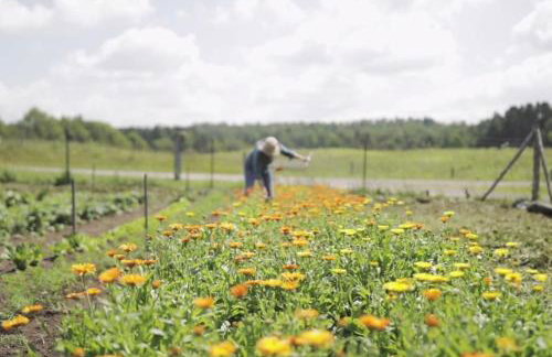 Riverside Cabin - Foto 26