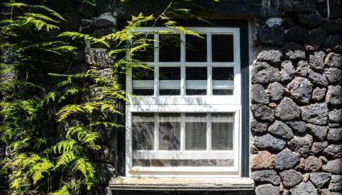 Quinta dos Frutos - Foto 5