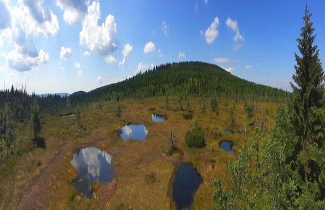 Comfortable Holiday Home With Sauna and Billiards, Near the Slopes - Photo 24