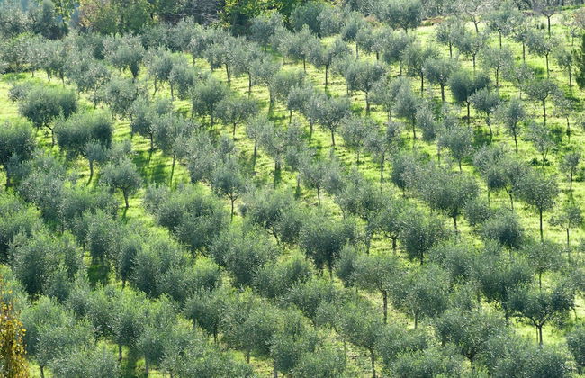 Farmhouse in Giano Dell'umbria with Hot Tub, Swimming Pool - Foto 28