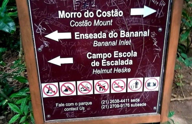 Andorinhas - Foto 53