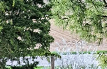 Torre Colombaia - Foto 44