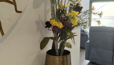 Maçarico's Guest House - Foto 3