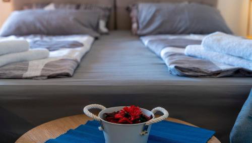 Apartments Miri Vrsar - Photo 3