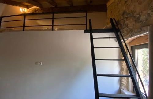 Mas Xalmes - Foto 47