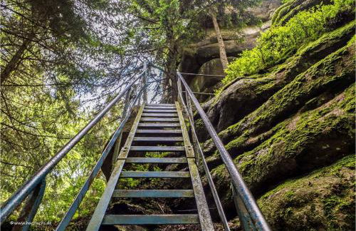 HIRSCH Hänsel Ferienhaus Garten mit Bergblick - Grill -Wald - Foto 38