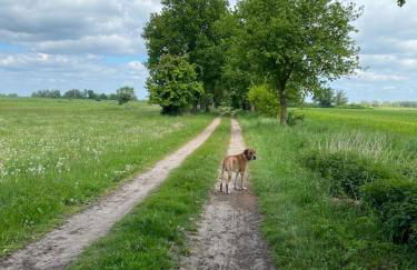 Landliebe Aulosen - Foto 30