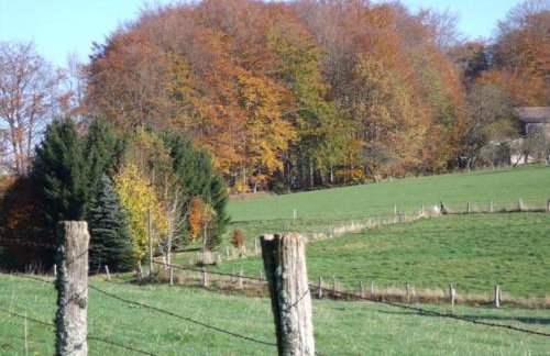 Gîte Les Hirondelles - Foto 44