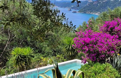 Villa Olivia - Photo 62