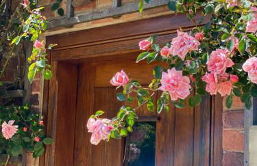 Old Hall Country Breaks - Foto 18