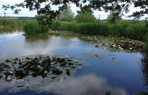 Hollyhock Cottage, Clematis cottages, Stamford - Foto 22