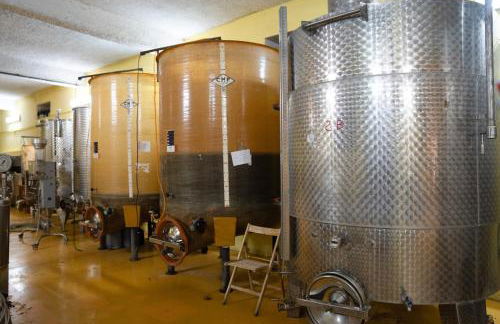 Le Case nel Vitigno - Modolo - Foto 25