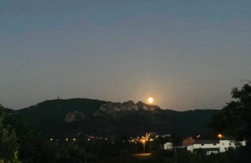 Monte das Cerejas - Foto 54