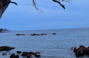 La Cigalière - Foto 40