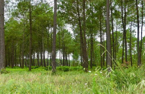 Appart cosy sunset - Foto 18