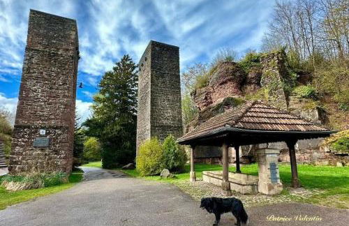 Gite l'Échapée Belle dans les Vosges - Foto 47