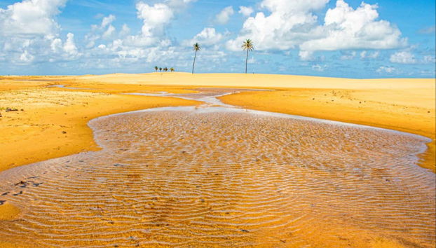 Paisajes idílicos en la desembocadura del río San Francisco