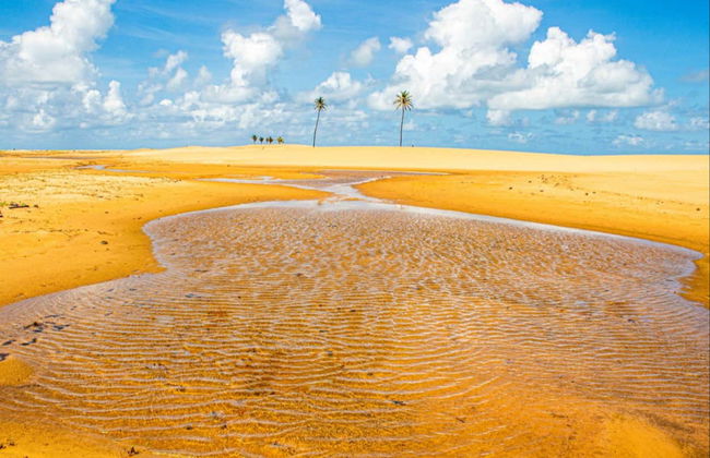 Excursión a la desembocadura del río San Francisco - Foto 2