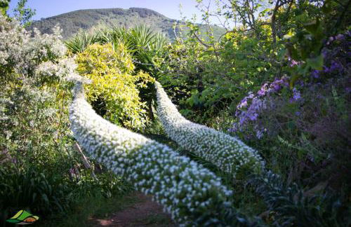 Cuevas De Barreto - Foto 24