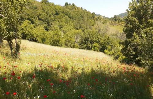 Farmhouse in Giano dell'Umbria - Foto 28
