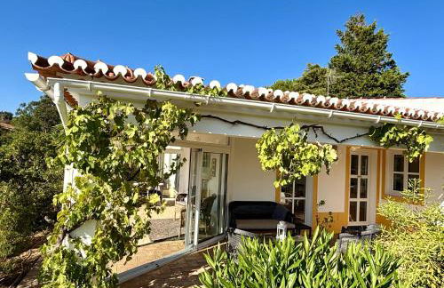 Vale do Guizo: Casa Poente on the contryside, close by the sea. - Photo 10