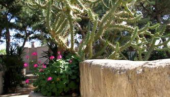 Il GIARDINO della FALENA - Foto 5, Garden