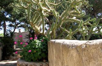 Il GIARDINO della FALENA - Foto 5