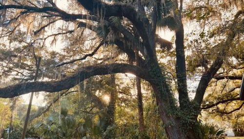 Country Welcome - Foto 5