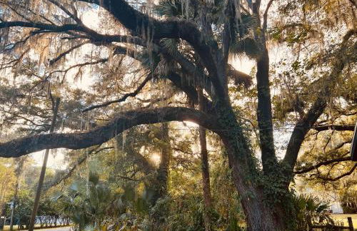 Country Welcome - Foto 5