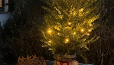 Historisches Pfarrhaus Nähe Schloss Neuschwanstein - Foto 2, Garden view
