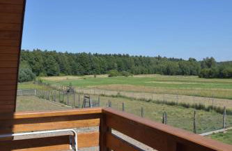 Noclegi Święta Katarzyna ,, Pod Jeleniami "prawdziwymi - Foto 22