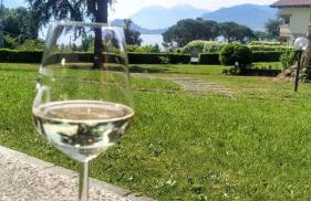 Sarah’s place - Photo 6