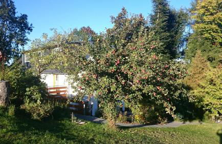 Ferienwohnung Hägelhof - Foto 21