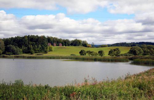 Domek Dzikie Lisko - Foto 32