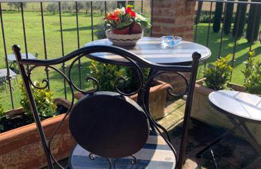 Tuscany Heritage Exclusive - La Ceppa - Foto 29
