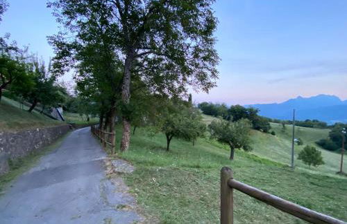 La casetta nel Borgo -Cerageto- - Foto 28