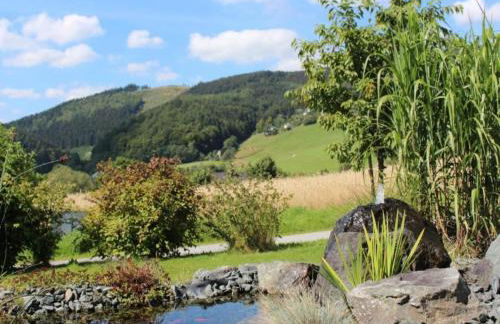 Ferienwohnung in der Nähe von Willingen - Foto 71