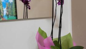 A casa di Tommy - Foto 2