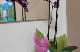 A casa di Tommy - Photo 2