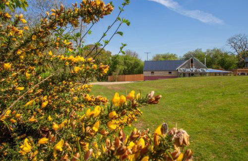 The Barn - Brynberian, Eglwyswrw - Foto 20