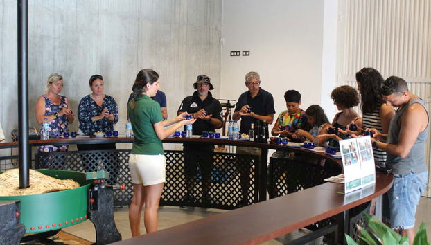 Visita a la fábrica y museo de Aceites Molisur con cata - Foto 2, Disfrutando de la cata de aceites