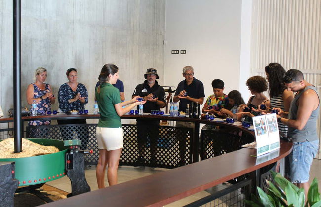 Visita a la fábrica y museo de Aceites Molisur con cata - Foto 2