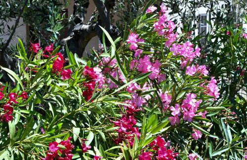 Green 'n Gray Sea & Mountain House - Foto 42