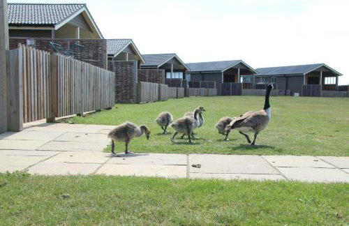 Waterside Lodges Cambridge - Foto 2