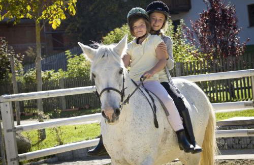 Ferienhof "Schoppa-Haisl" - Foto 12