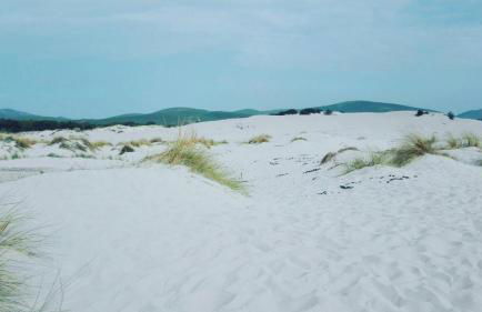 Case vacanza "Gli Ulivi" - Foto 28