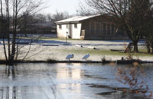 Woodpecker Lodge - Brook Meadow - sleeps 4 plus 2 - no pets - Foto 28